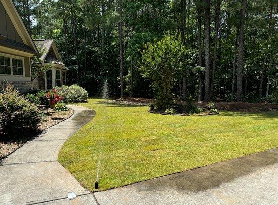 Landscape installation of sod in front yard of residential home.