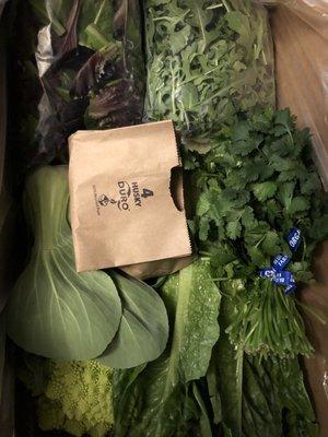 CSA classic farm box