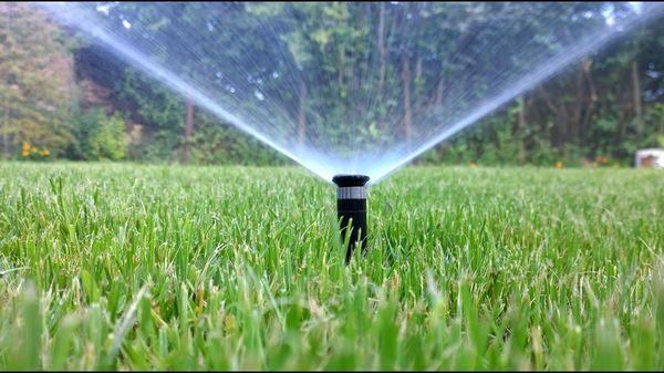 Gorman's Sprinklers Too