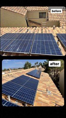 Solar panel cleaning and pigeon waste disposal