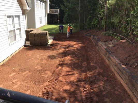 Sod installation