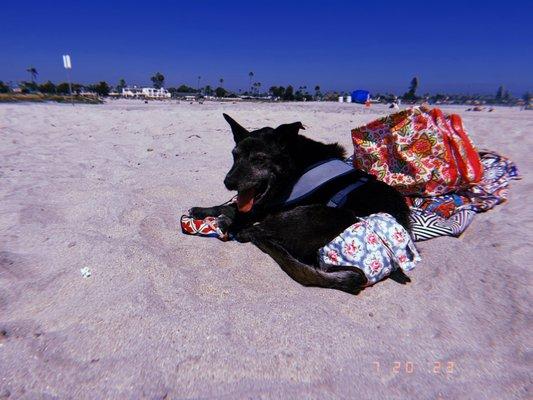 Resting in the sand