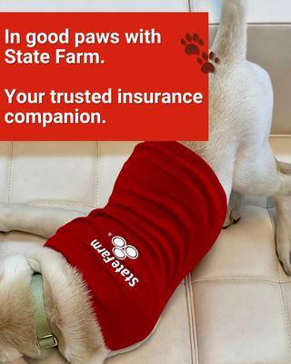 Jaclyn Gibson - State Farm Insurance Agent