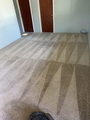 Lee's Carpet Cleaning