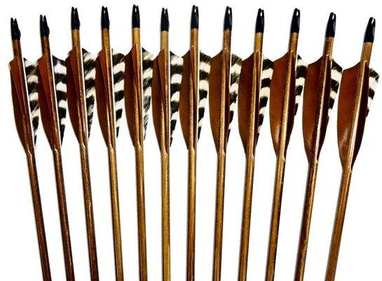 Traditional Arrows