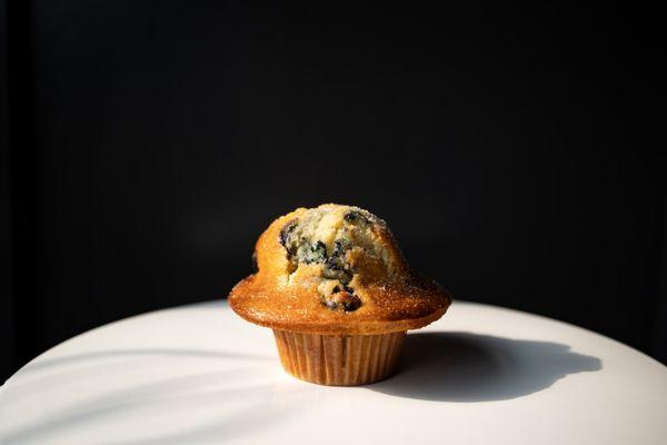 Blueberry Muffin