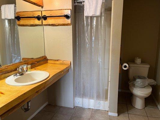 Bathroom with dirty shower curtain.