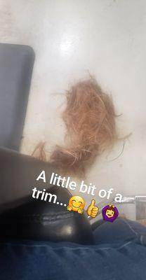 Hair trim‍‍