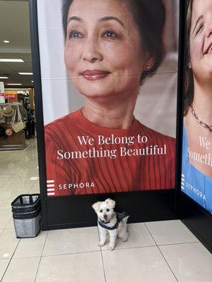 SantaPaws says, "She looks beautiful like Grandma"