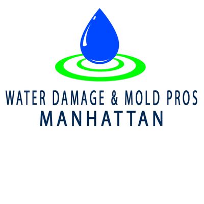 WATER DAMAGE & MOLD PROS MANHATTAN