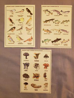 Postcards of midwestern birds, fish, mushrooms