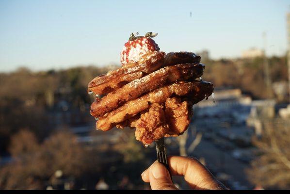 Chiwaffles in the sky