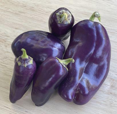 Purple peppers