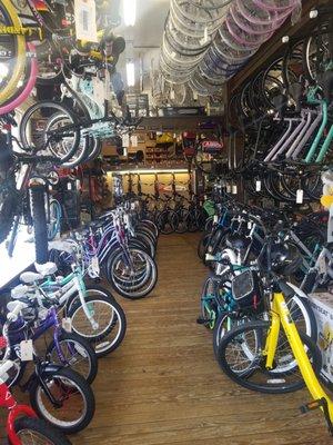 Lots of different types of bikes