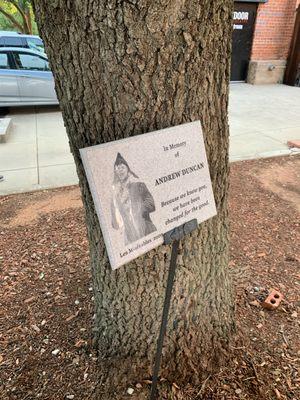 Memorial sign next to tree.