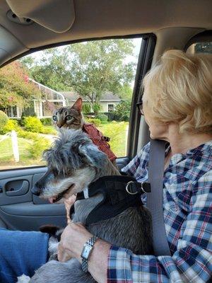 Adaline and Berry enjoying a car trade with mom