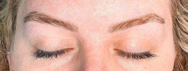 Brow Wax Restyle + Tint