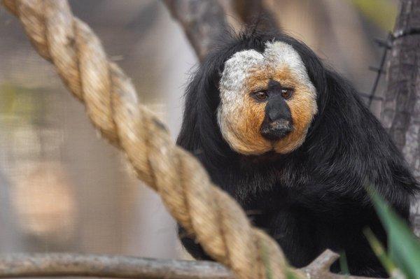 Santa Barbara Zoo