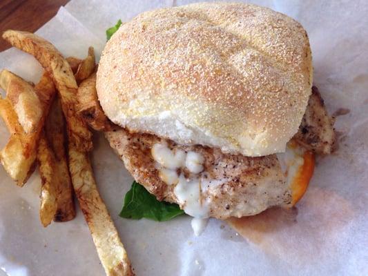 Chicken sandwich with blue cheese dressing - it was good (albeit messy) but the chicken piece was smallish compared to the bun