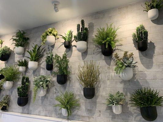 Very lively plant wall!