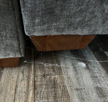 Scratches/gouges to floor from damaged furniture