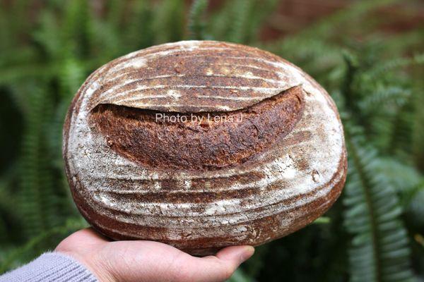 Multigrain Boule ($8) - wheat with soaked grains (wheat, rye, barley oats and spelt) and various seeds