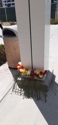 Roses to honor the life of Ms. Junko Hasafusa. She was attacked in this spot on 12/24/23. (4/28/24)