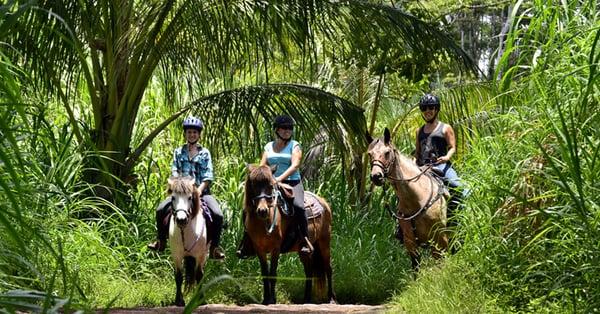 Guided hour and a half jungle ride in Sunny Kapoho