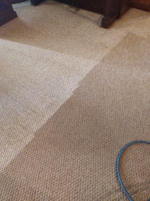 This is the carpet half cleaned. You can definitely see the results.