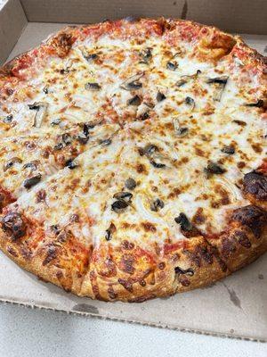 Mushroom and Onion Pizza