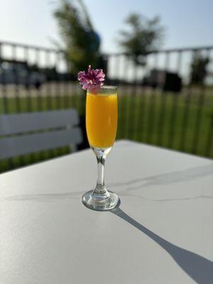 Mimosa!!!