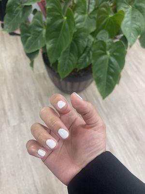 Gel mani