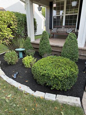 Trimming and mulch