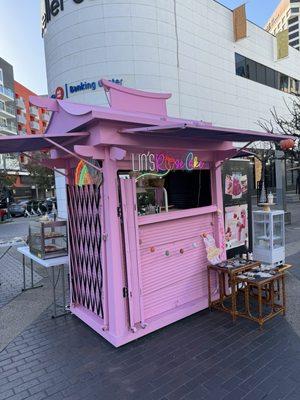 New addition to Little Tokyo.  Lins Rose Cake.  Incredible Rose Milk Tea using actual rose water and petals.  Plus pizza and sweets.