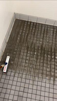 Step 1: Deep Grout Scrubbing