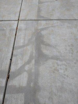 Splotches on new patio