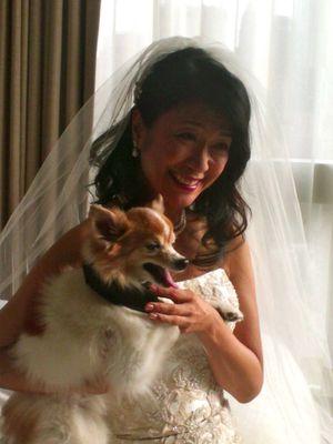 Pawfect Wedding