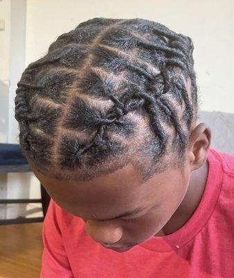 Barrel Twist/ Dreads