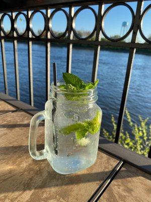 Watermelon Mint Mojito