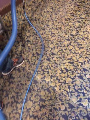 Breen Carpet Cleaning & Maintenance