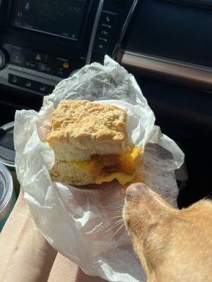 Egg and cheese biscuit. The BEST biscuits I've ever had! Moose agrees!