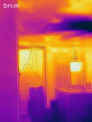 Thermal imaging walls and ceilings for any existing moisture.