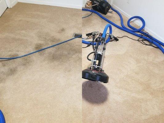 Check out this before and after of what the Rotovac 360i can do to restore carpet with extreme traffic soil.