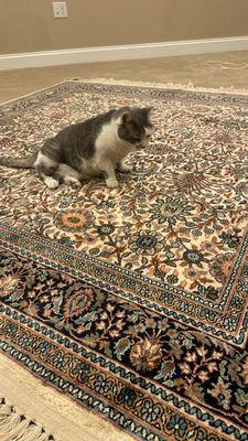 Aref's Oriental Rugs