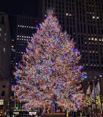 The famous Rockefeller Center Christmas tree