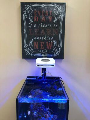 Kinda resembles an old fashioned pinball machine. A tiny little fish aquarium. "Every Day is a Chance to Learn Something New"