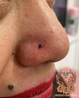 Nostril piercing done by Jessica