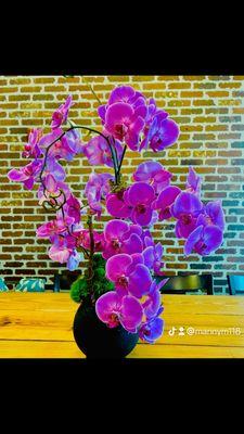 Orchids in a vase.