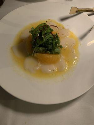 Scallop carpaccio