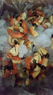 Fresh Local Stone Crab